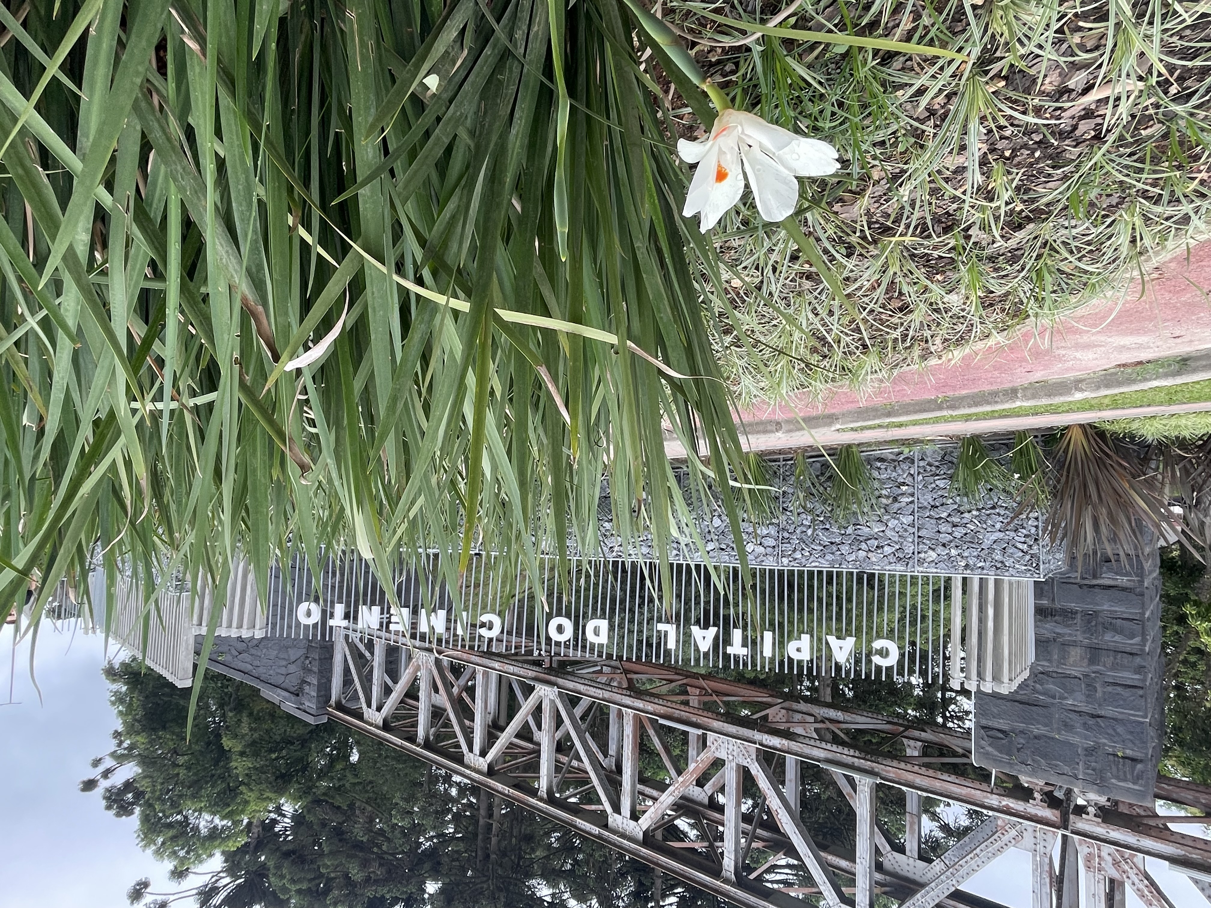 Imagem do depoimento