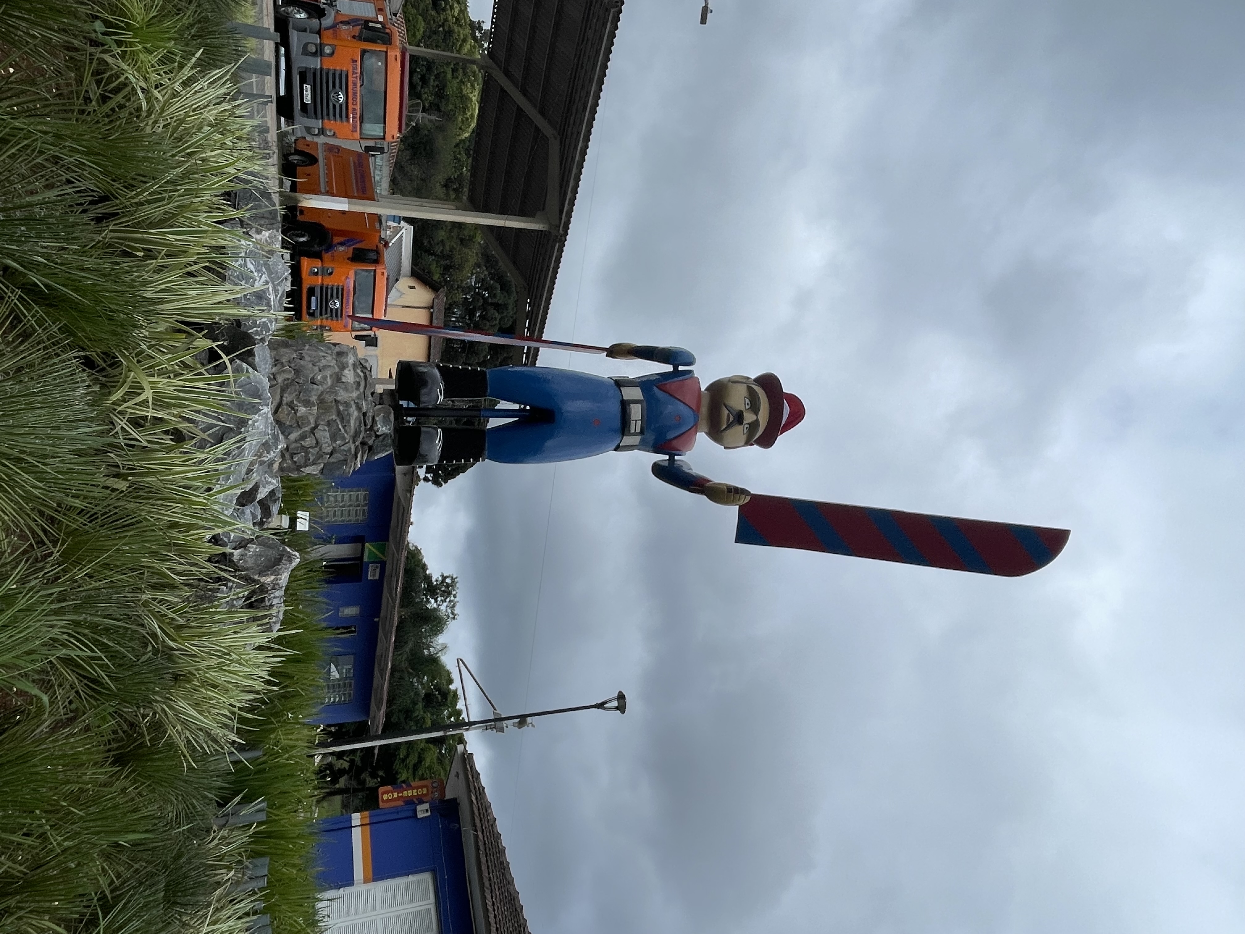 Imagem do depoimento